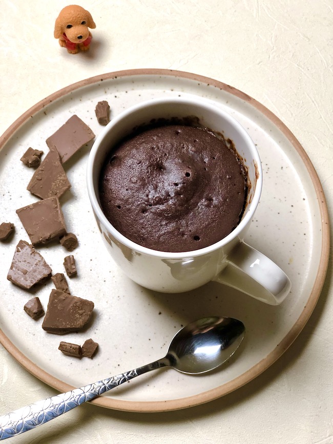 Delicious Chocolate Mug Cake (Egg + Dairy Free) - The Conscientious Eater